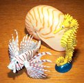 Lionfish and Seahorse