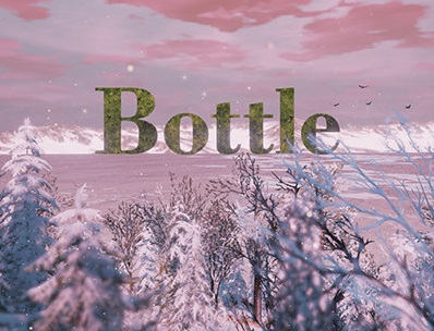 Bottle