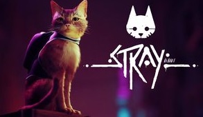 Stray
