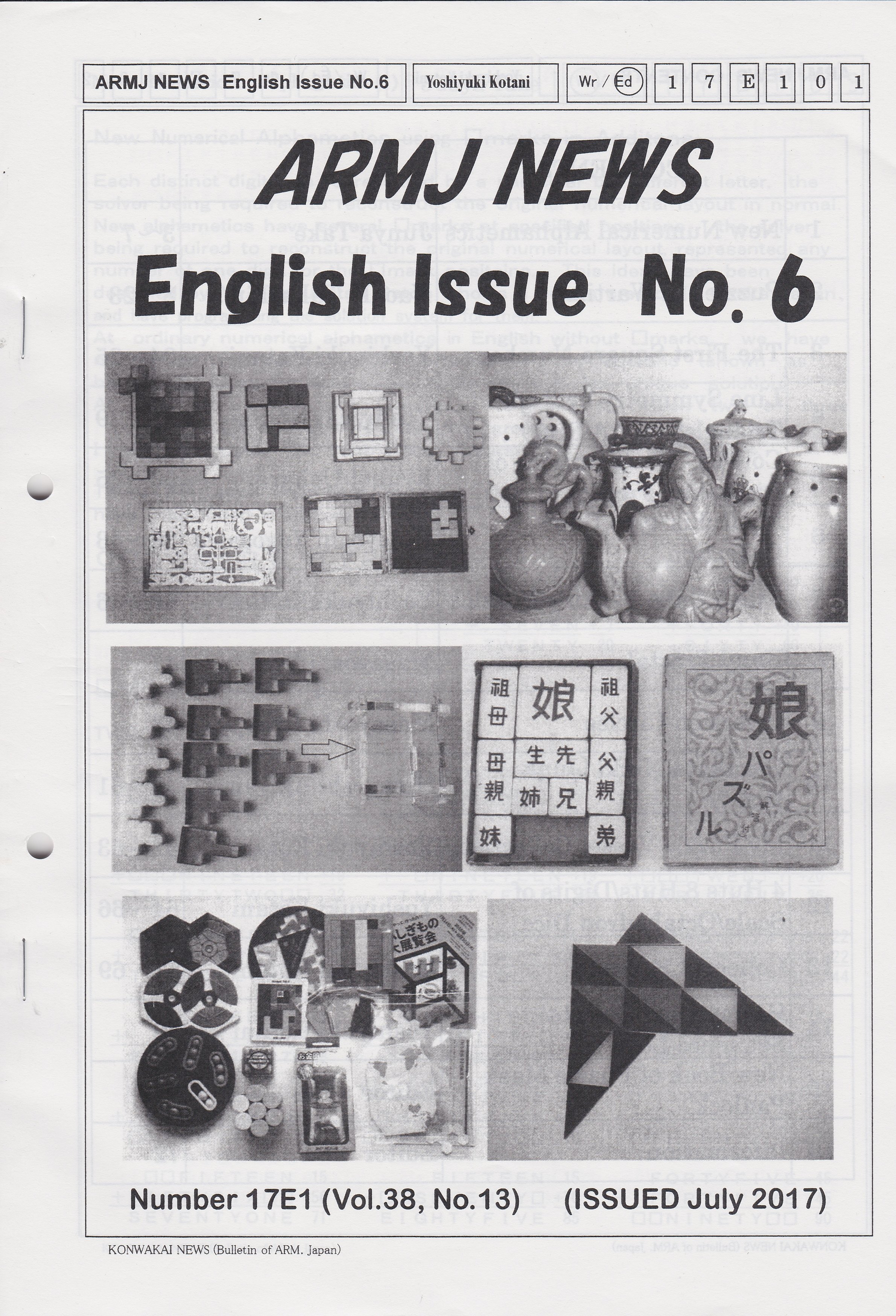 ARMJ English Newsletter July 2017